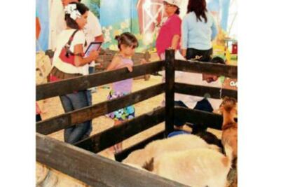 Piden respetar a las especies