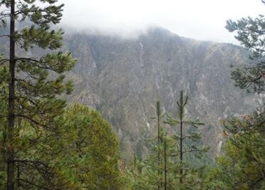 Retiene la entidad 120mdp 