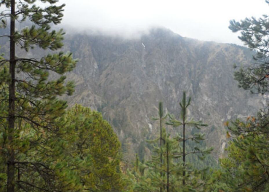 Retiene la entidad 120mdp