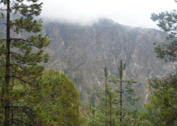 Retiene la entidad 120mdp