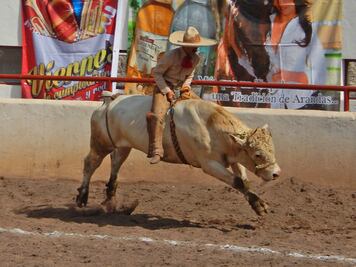 Charrería de primer nivel