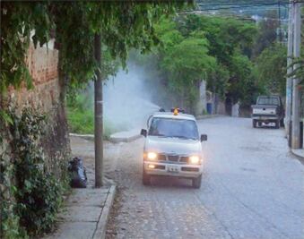 Salud fumiga para abatir dengue