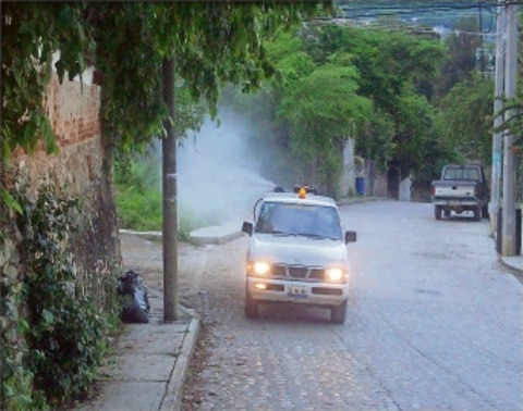 Salud fumiga para abatir dengue