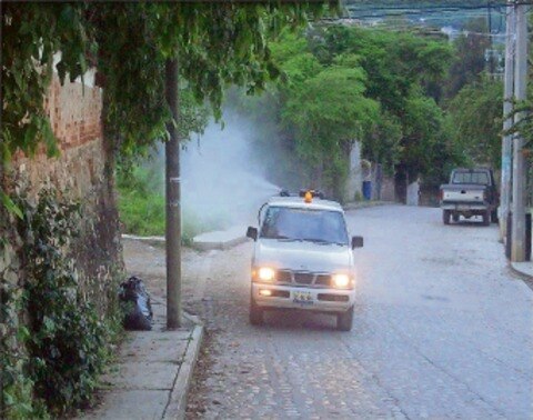 Salud fumiga para abatir dengue