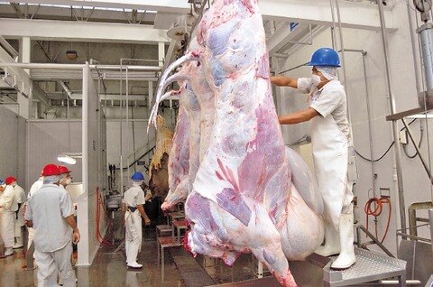 Persisten casos de clembuterol en cárnicos en el estado, alertan