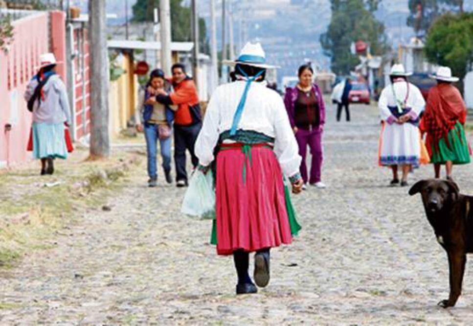 Burlas orillan a la extinción de otomí: Juana