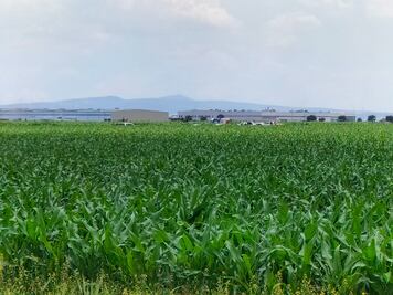 Cae aeronave al despegar del Aeropuerto de Querétaro; hay dos muertos