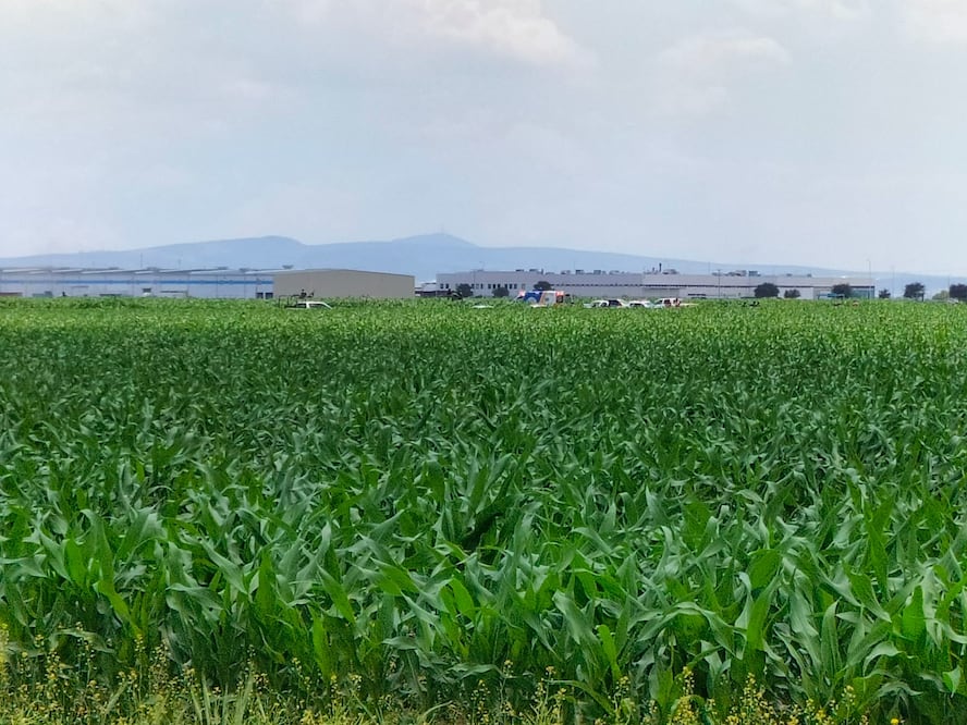 Fotos cortesía: Daniel Gómez