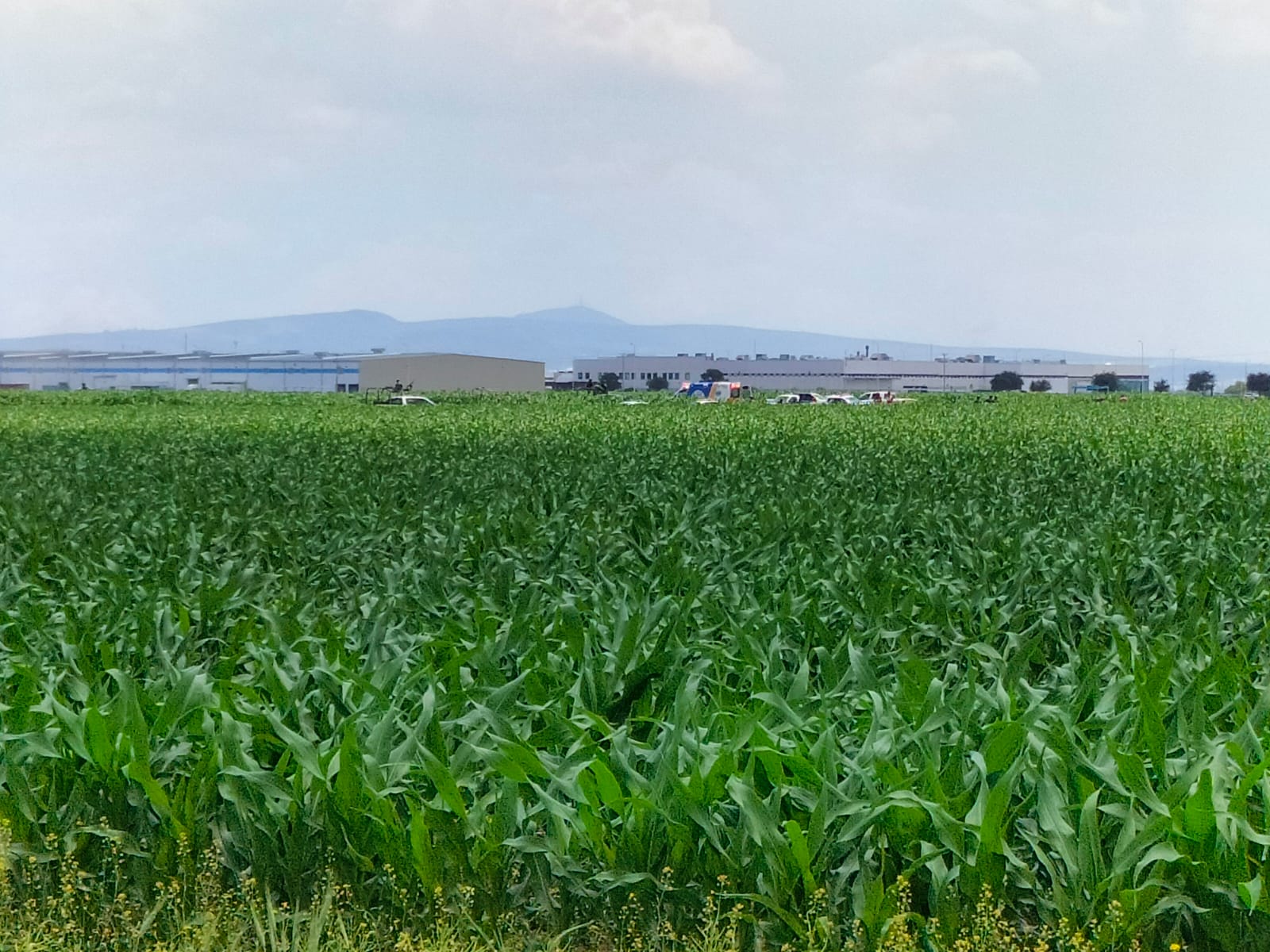 Cae aeronave al despegar del Aeropuerto de Querétaro; hay dos muertos