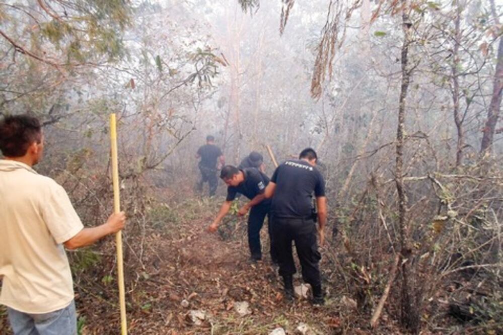 Incendio en El Madroño quemó  más de 80 ha