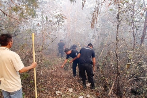Incendio en El Madroño quemó  más de 80 ha