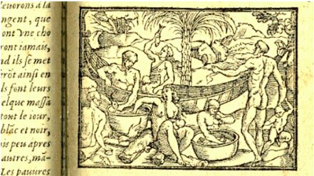 Cuál fue la peculiar criatura de América que cautivó a los europeos del siglo XVI