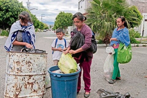 Recolentan botellas PET “sólo para hacer ejercicio”