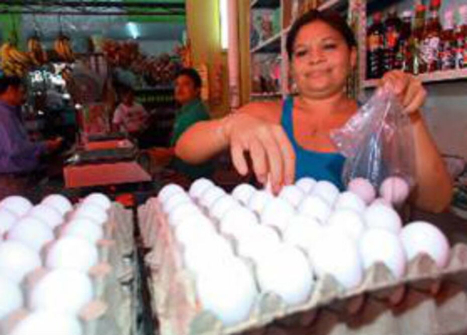 Descartan alza en precio de pollo y huevo por gripe aviar