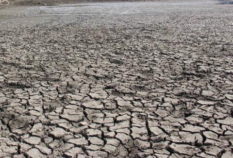 Se registran primeras lluvias en Tolimán