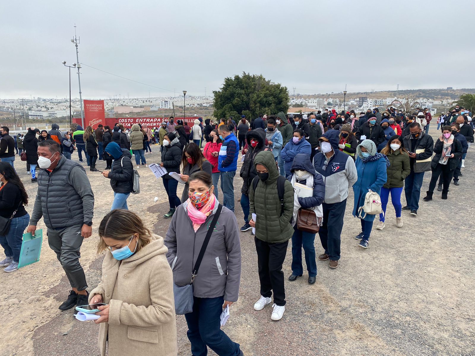 Ni el frío detiene a los profes que reciben el refuerzo contra el Covid-19 en Querétaro