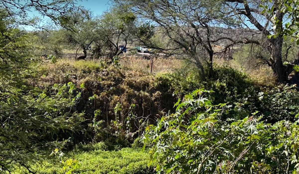 Proyecto parque La Queretana, sin socializar con vecinos de la zona norte de Querétaro