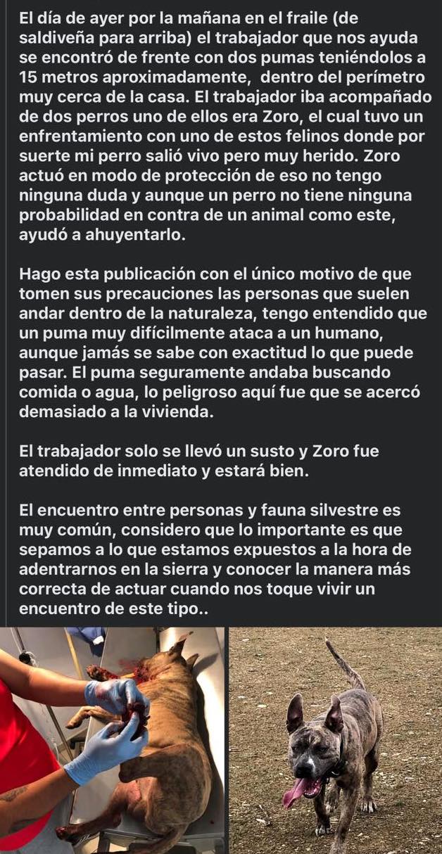 Foto: Facebook