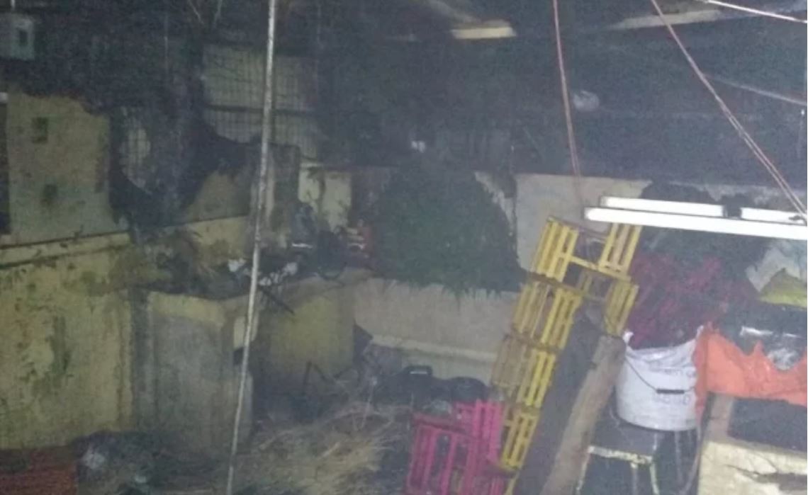 Incendio consume 12 locales en Mercado de las Flores de Xochimilco