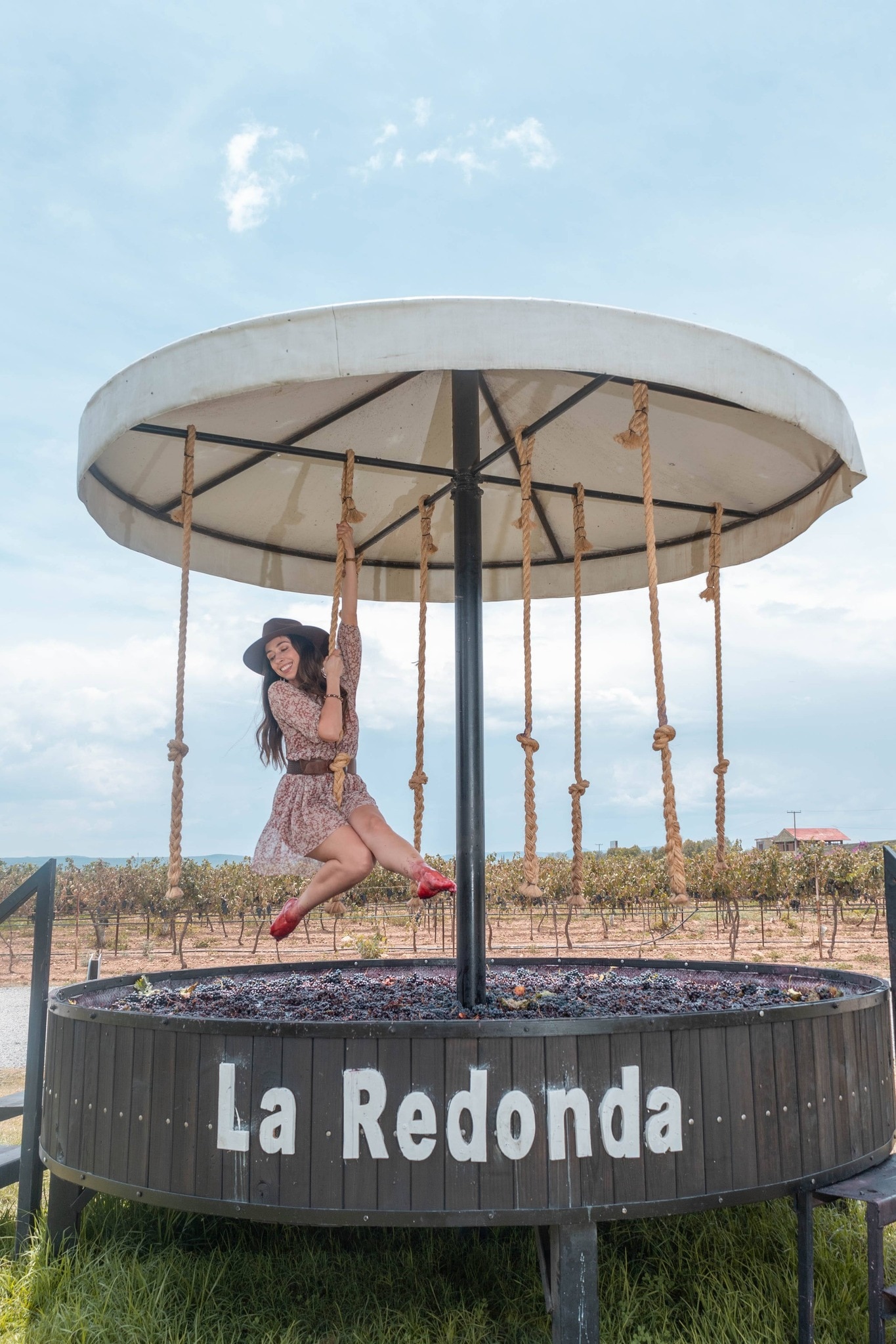 Foto: Viñedos La Redonda.