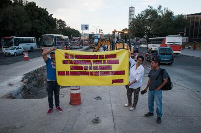 Ambientalistas marchan contra la tala de árboles
