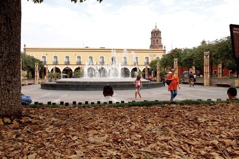 Estado, entre los de mayor crecimiento