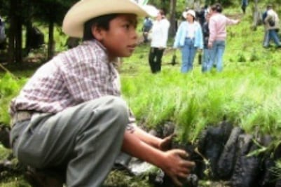 45% de la niñez habita en el campo