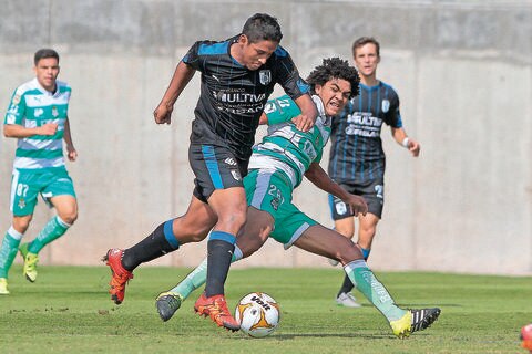 Gallos juveniles caen en cuartos