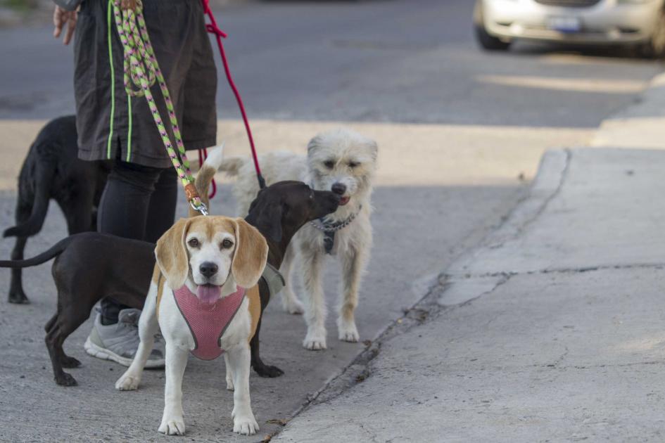 Foto: Archivo El Universal