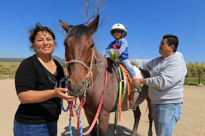 Equinoterapia. Caballos, cómplices ideales para sanar