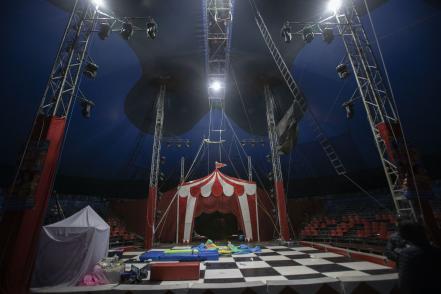 Circo, en agonía por el Covid-19 