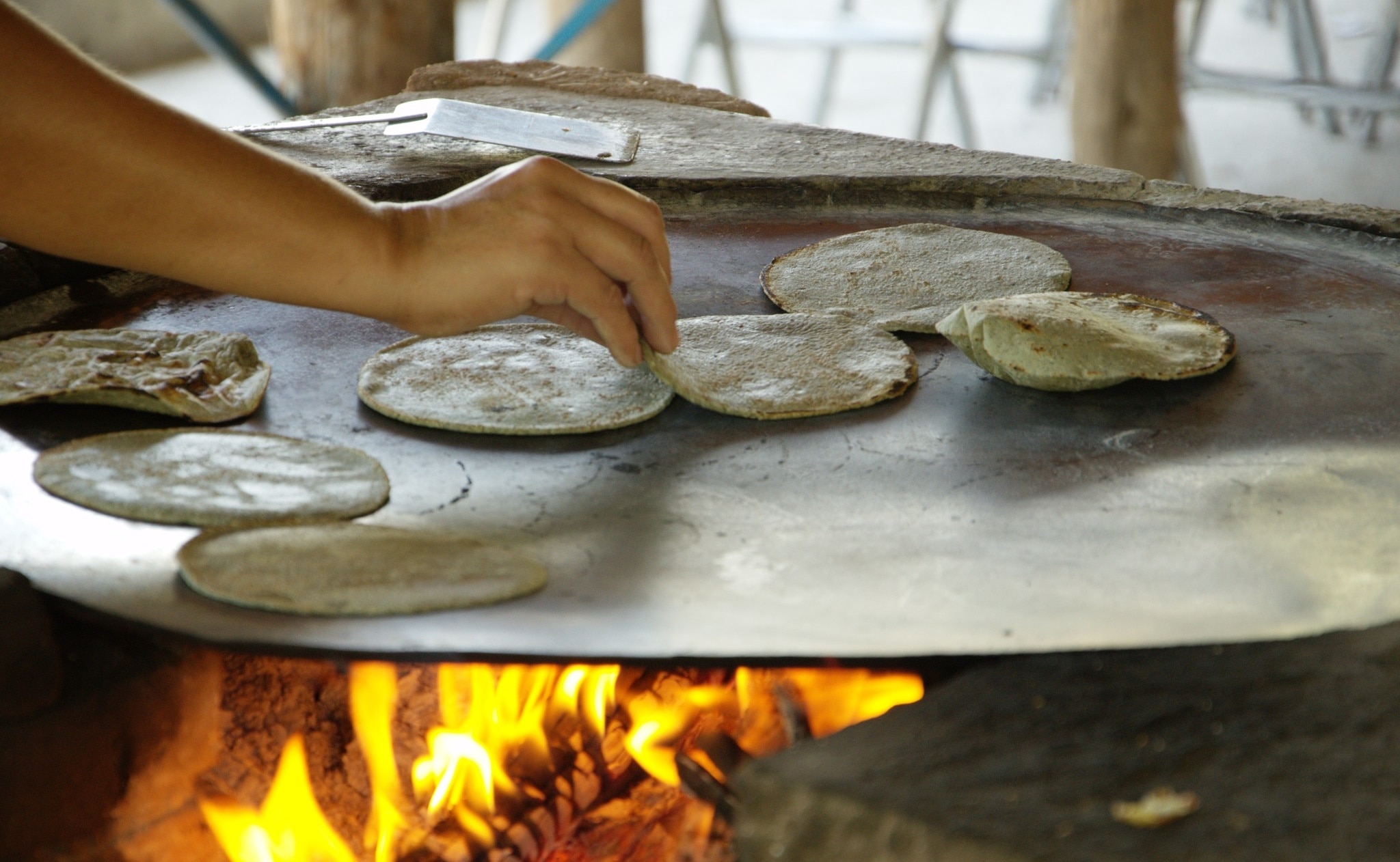 Foto: Sierra Gorda Ecotours