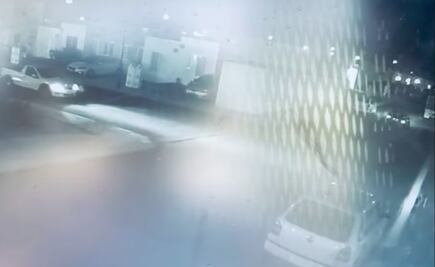 Tras un año, sancionan al agresor del perrito Pit