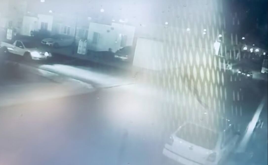 Tras un año, sancionan al agresor del perrito Pit