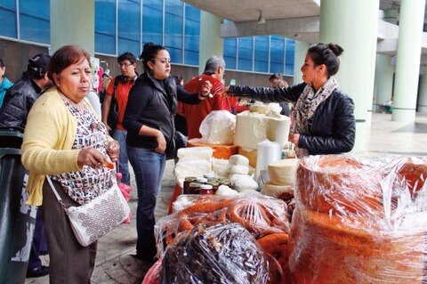 Les dan bases para crear sus negocios