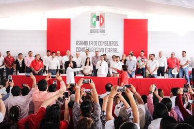 Asume Juan José Ruiz dirigencia del PRI