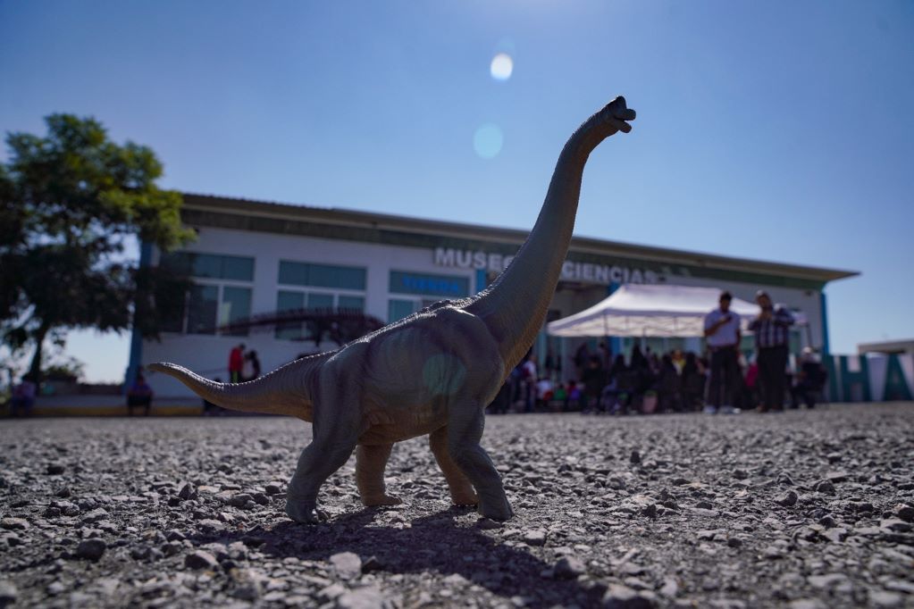 Lánzate al Museo Ximhai y disfruta de la exposición “Dinosaurios entre nosotros”