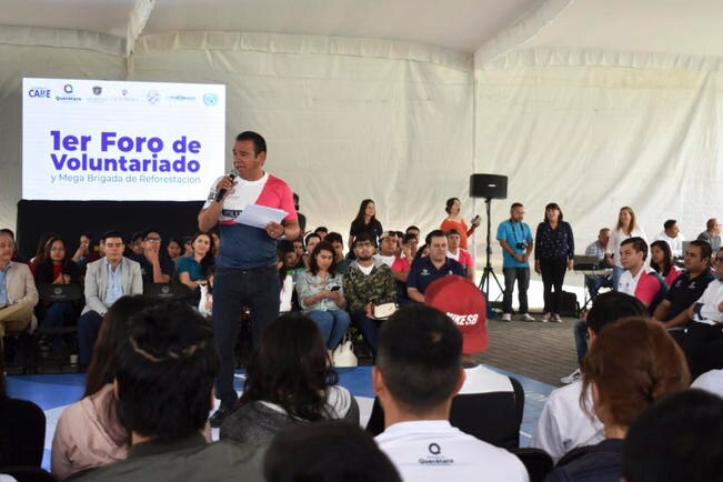 Participan 250 jóvenes en reforestación