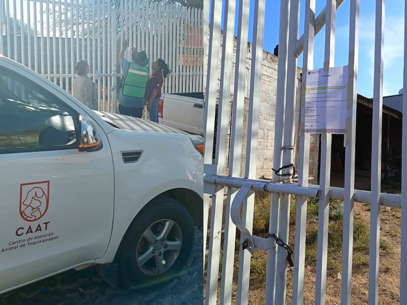 FOTO. CAPTURA DE PANTALLA