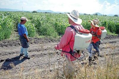 Denuncia regidor muertes por uso de agroquímicos