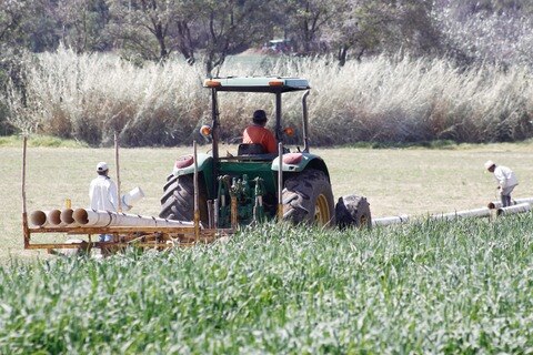 Apuesta  PRI por el desarrollo