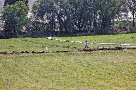 Prevé lograr 97% de tecnificación