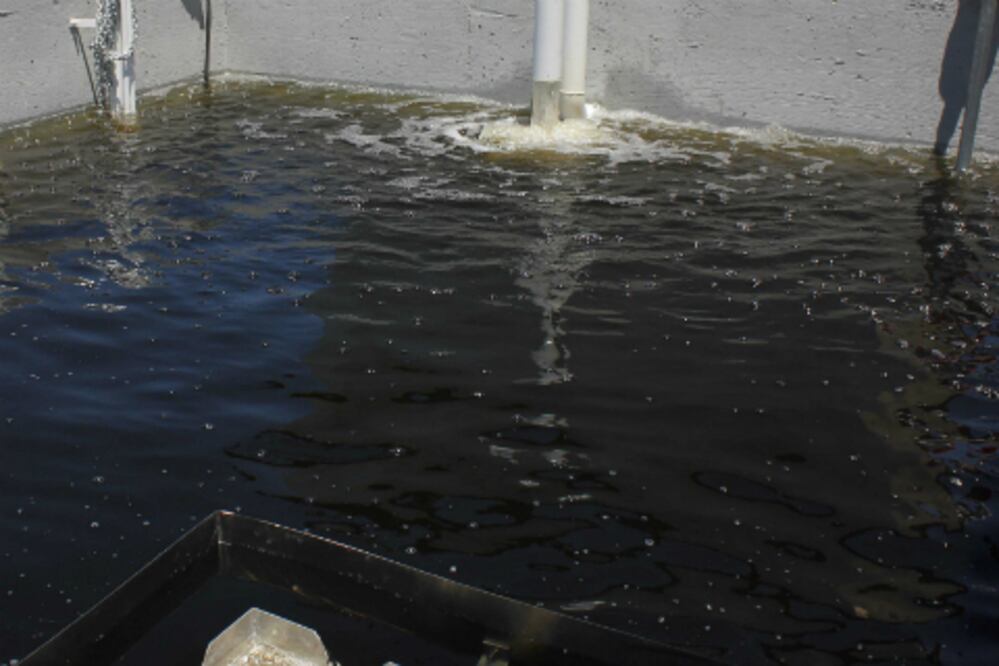 Impulsan energías sustentables en SJR