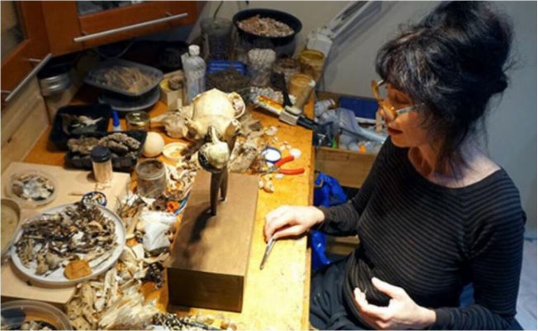 Foto: gilliangenser.com