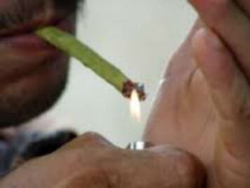 Anuncian nuevo Instituto