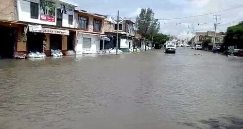 #Avance | UAQ organiza colecta para damnificados de Amazcala