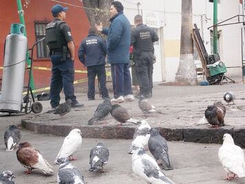 Existen 540 comités ciudadanos: SSPM