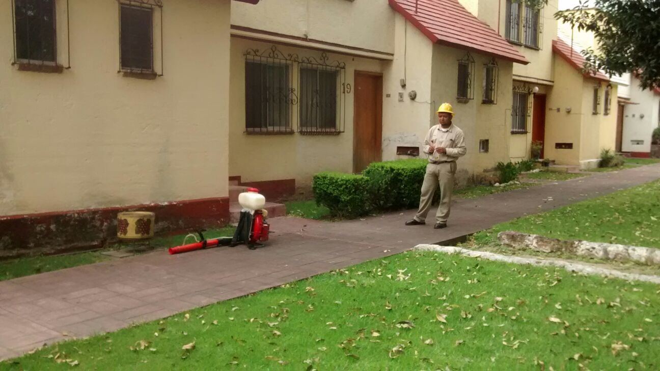 Fumigan en SJR por posible caso de dengue