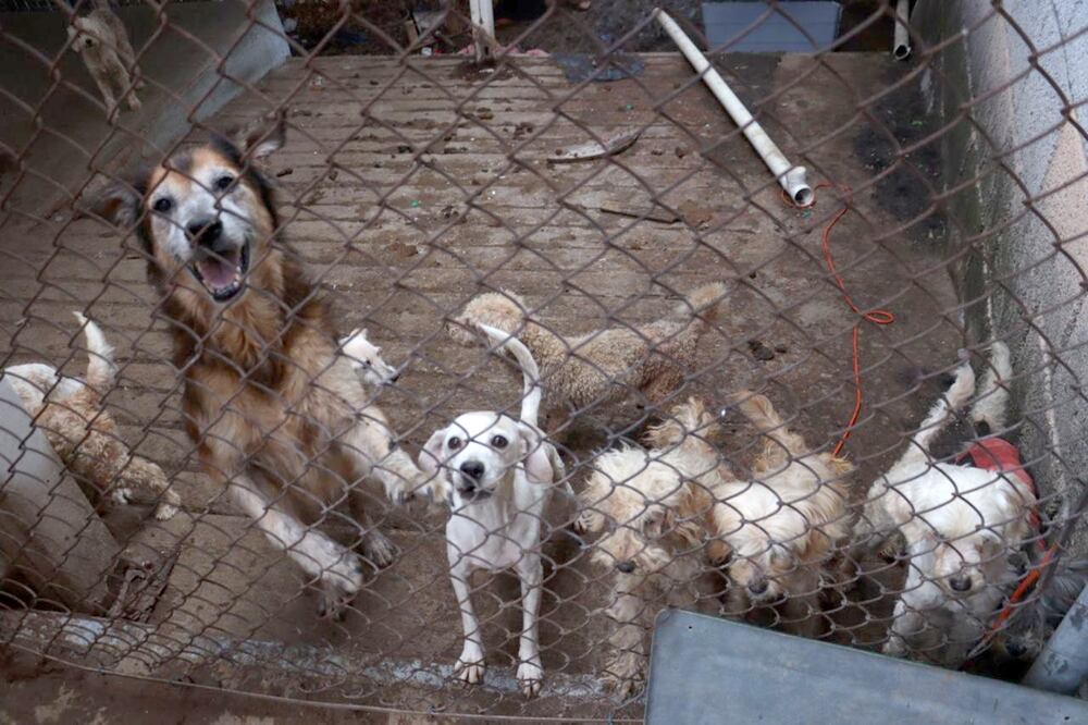 Foto: Servicios Públicos Municipales