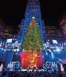 Las mejores vacaciones navideñas en cinco pasos